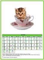 Calendrier d'avril 2019 chats
