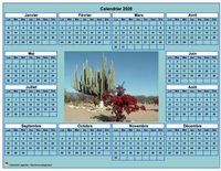 Calendrier 2020 photo annuel à imprimer, fond cyan, format paysage, sous-main ou mural