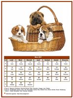 Calendrier de mars 2012 chiens