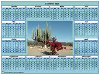 Exemples de calendriers annuels gratuits