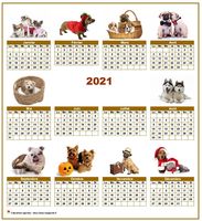 Calendrier 2014 annuel spécial 'chiens' avec 10 photos