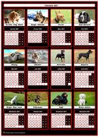Un chien de race pour chacun des mois de ce calendrier 1928 annuel