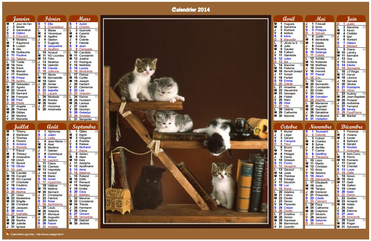 Calendrier 2014 annuel de style calendrier des postes avec des chats