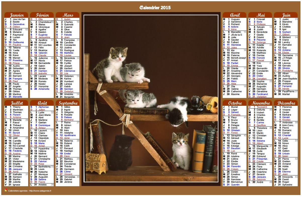 Calendrier 2015 annuel de style calendrier des postes avec des chats