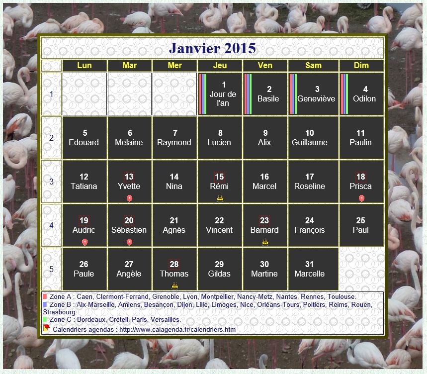 Calendrier 2015 agenda artistique mensuel, cadre photo flamands roses Calendrier 2015 agenda artistique mensuel, cadre photo flamands roses