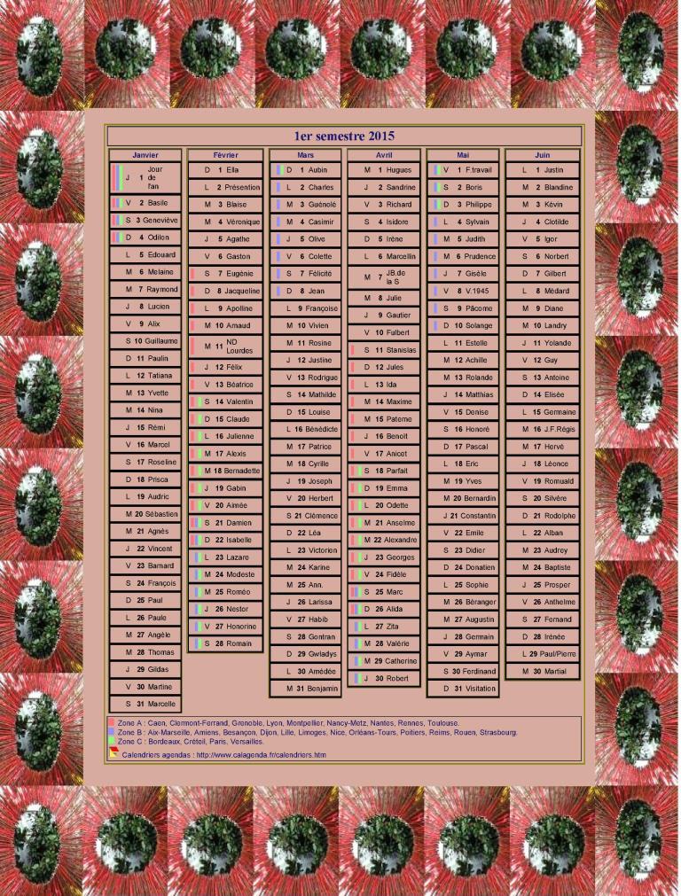 Calendrier 2015 semestriel décoratif à imprimer, avec cadre photo, format portrait, une colonne par mois