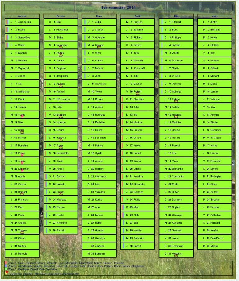 Calendrier 2015 semestriel décoratif avec agenda, format portrait, une colonne par mois