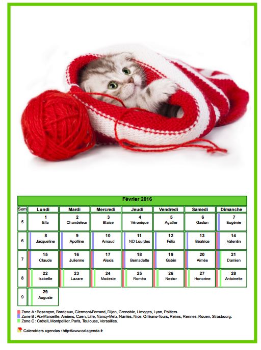 Calendrier février 2016 chats