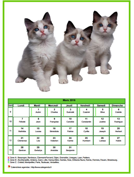 Calendrier mars 2016 chats