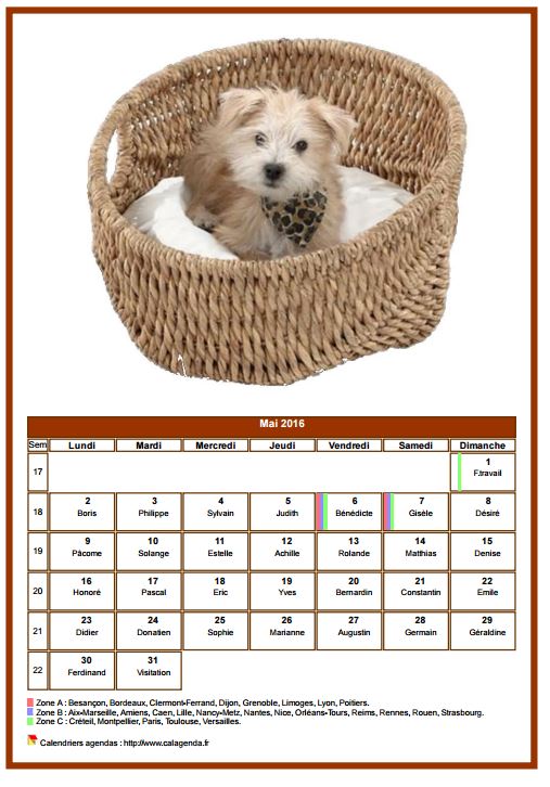 Calendrier mai 2016 chiens