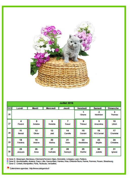 Calendrier juillet 2016 chats