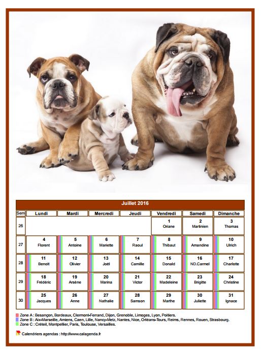 Calendrier juillet 2016 chiens