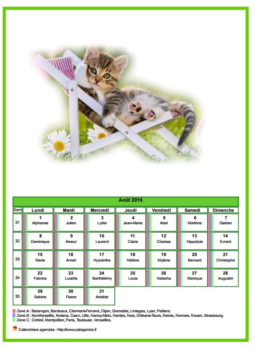 Calendrier août 2016 chats Calendrier août 2016 chats