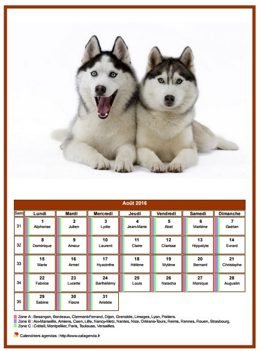 Calendrier août 2016 chiens