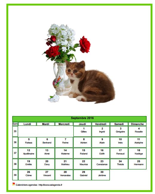Calendrier septembre 2016 chats