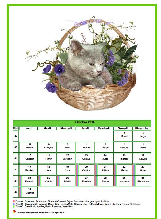 Calendrier octobre 2016 chats