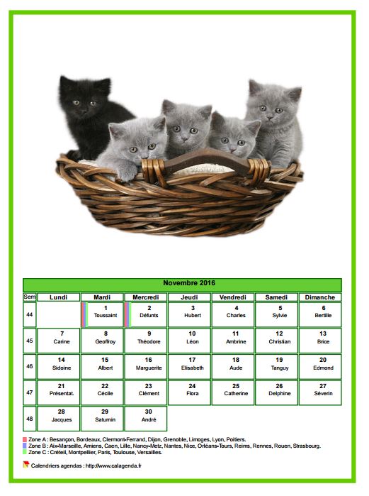 Calendrier novembre 2016 chats Calendrier novembre 2016 chats