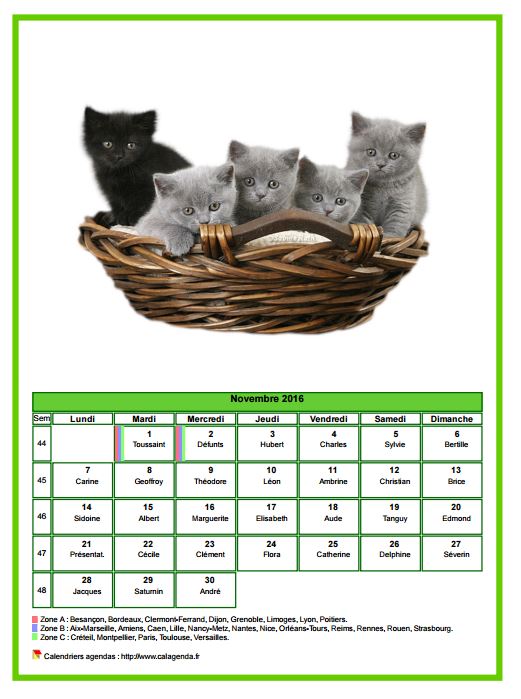 Calendrier novembre 2016 chats