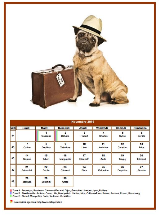 Calendrier novembre 2016 chiens