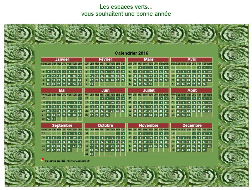 Calendrier 2016 décoratif annuel à imprimer, avec cadre photo vert