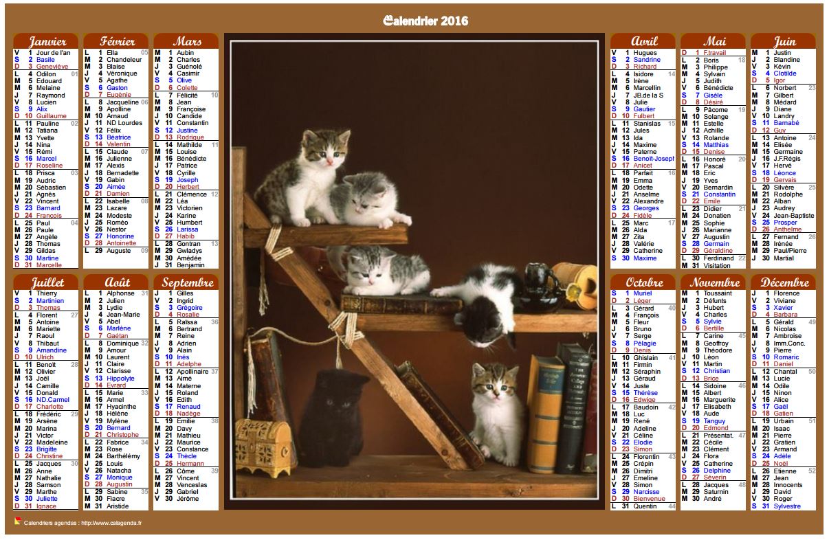 Calendrier 2016 annuel de style calendrier des postes avec des chats
