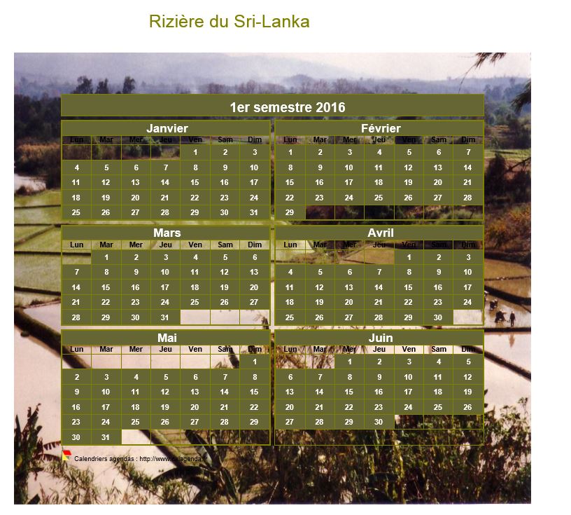 Calendrier 2016 artistique semestriel à imprimer, format mini de poche, avec photo