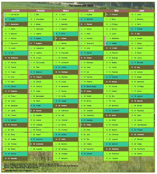 Calendrier 2016 semestriel décoratif avec agenda, format portrait, une colonne par mois