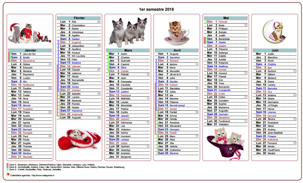 Calendrier 2016 semestriel chats