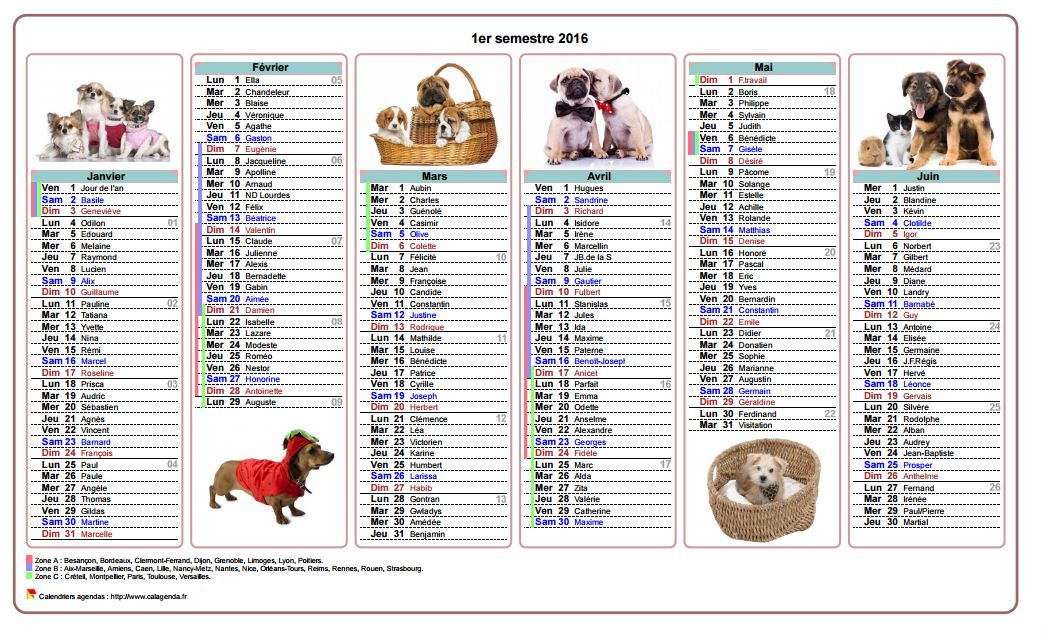 Calendrier 2016 semestriel chiens Calendrier 2016 semestriel chiens