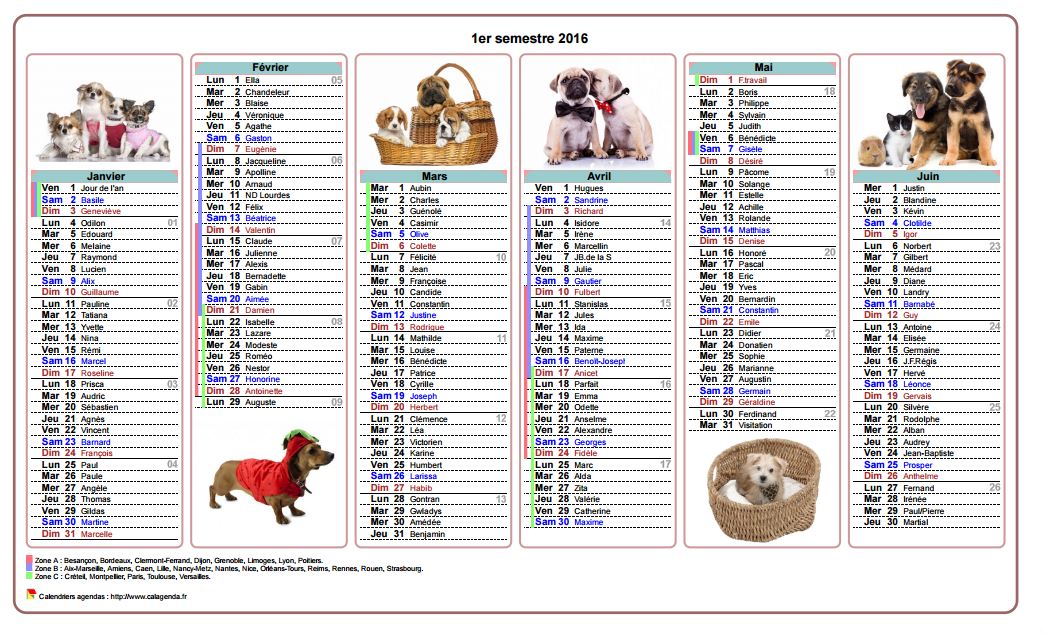 Calendrier 2016 semestriel chiens