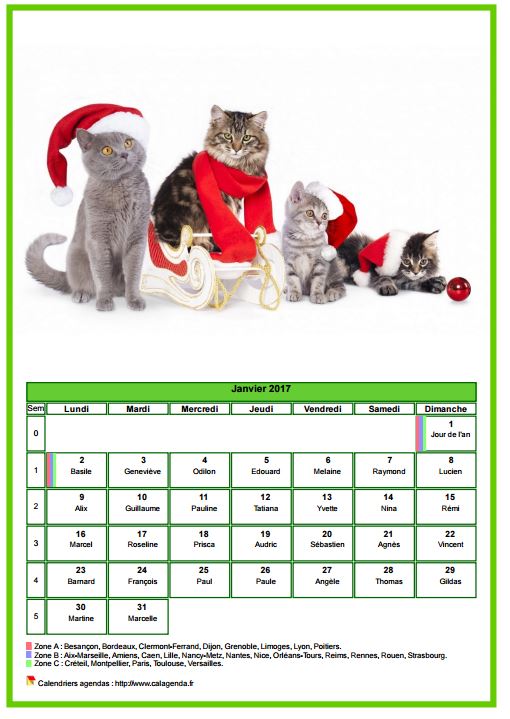 Calendrier janvier 2017 chats
