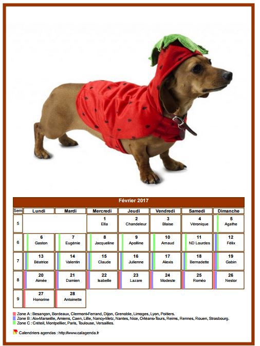Calendrier février 2017 chiens Calendrier février 2017 chiens