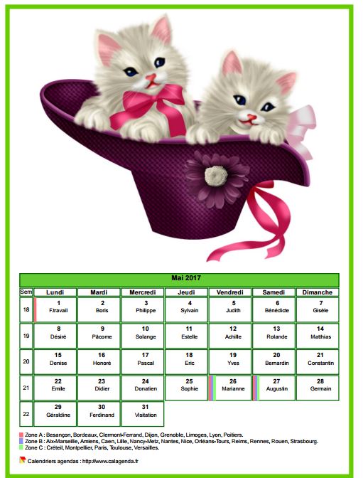 Calendrier mai 2017 chats