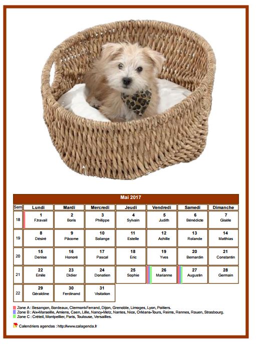 Calendrier mai 2017 chiens