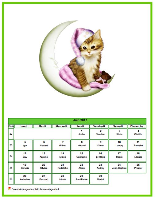 Calendrier juin 2017 chats