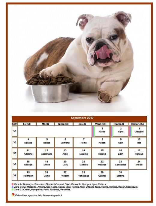 Calendrier septembre 2017 chiens