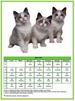 Calendrier de mars 2017 de la série 'Chats'