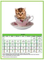 Calendrier d'avril 2017 chats