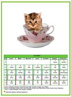 Calendrier d'avril 2017 de la série 'Chats'