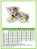 Calendrier d'août 2017 chats