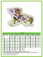 Calendrier d'août 2017 chats