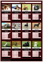 Un chien de race pour chacun des mois de ce calendrier 2017 annuel