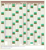 Calendrier 2017 annuel de 12 colonnes, avec agenda synthétique