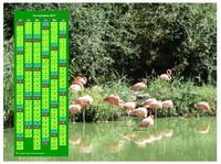 Calendrier 2017 à imprimer semestriel, format paysage, en colonne, au dessus d'une photo (flamands roses).