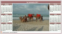 Calendrier 2017 semestriel de style calendrier des postes avec photo au centre