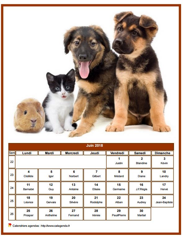 Calendrier juin 2018 chiens