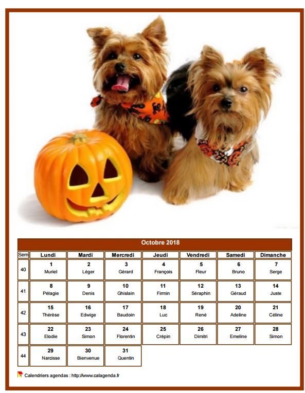 Calendrier octobre 2018 chiens