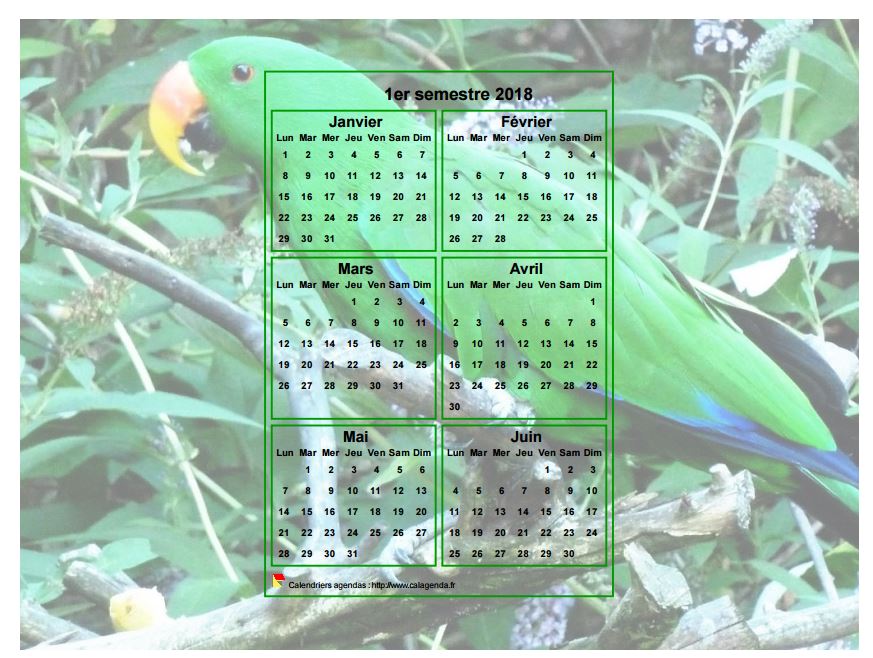 Calendrier 2018 à imprimer semestriel, format paysage, incrusté au centre d'une photo (perroquet vert).