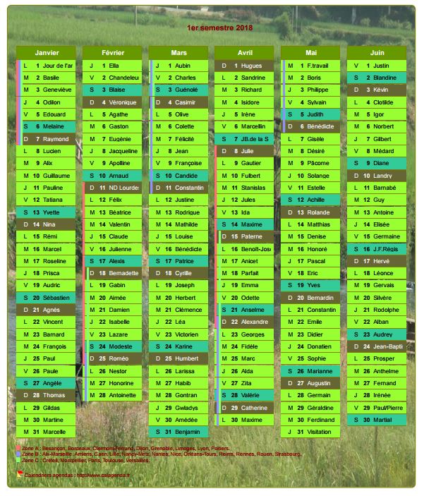 Calendrier 2018 semestriel décoratif avec agenda, format portrait, une colonne par mois