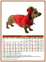 Calendrier de février 2018 chiens